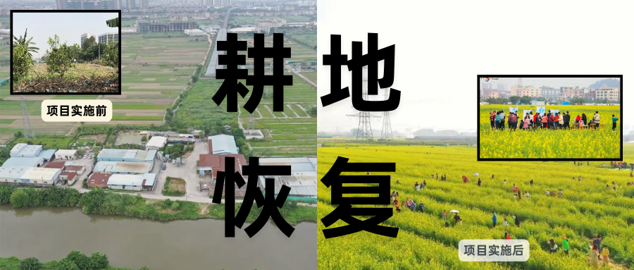 耕地；；；；；び刖梅⒄构踩凇甘泻窠终蛩谏缜读继锵钅扛鼗指从氤窍缛诤系拇葱率导